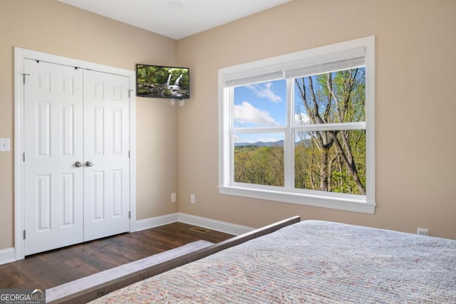 1016 Twisted Oak Rd Unit 115, Talking Rock, GA 30175 - unfurnished bedroom with wood finished floors, multiple windows, and a closet