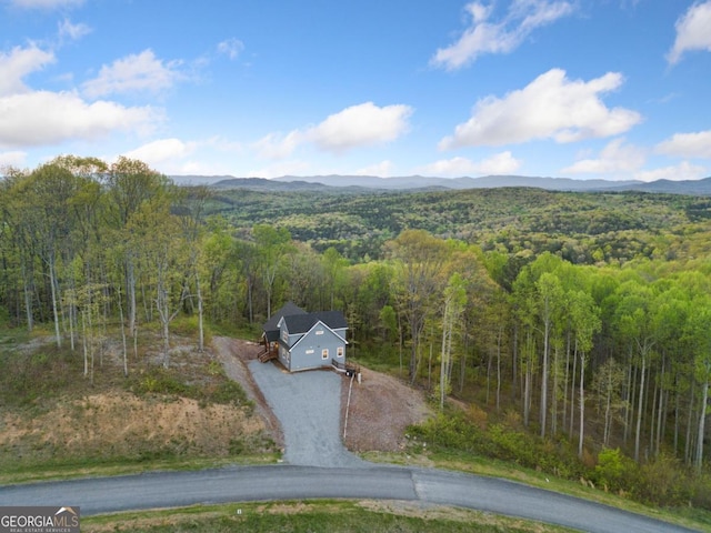 1016 Twisted Oak Rd Unit 115, Talking Rock, GA 30175 - view from above of property with mountains