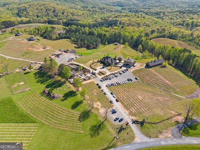 1016 Twisted Oak Rd Unit 115, Talking Rock, GA 30175 - view of rural area featuring abundant farmland
