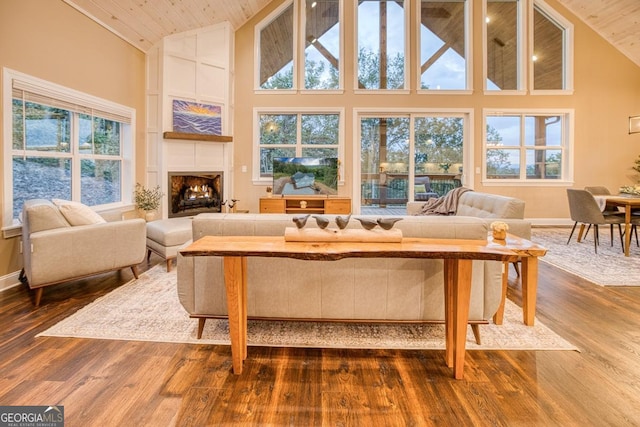 1016 Twisted Oak Rd Unit 115, Talking Rock, GA 30175 - living area featuring high vaulted ceiling, wood ceiling, dark wood-style flooring, and a lit fireplace