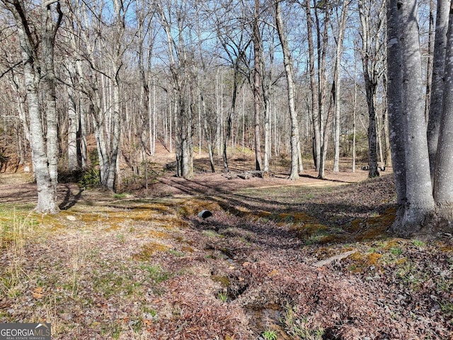 view of local wilderness