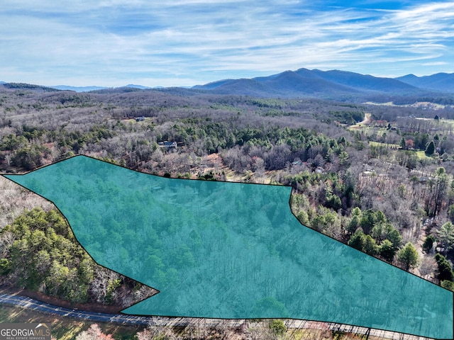 birds eye view of property featuring a mountain view and a view of trees