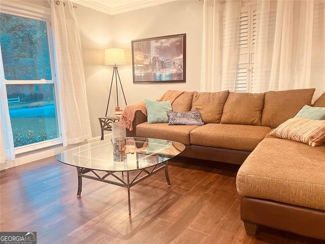 3629 Embry Cir, Atlanta, GA 30341 - living room featuring ornamental molding and wood finished floors