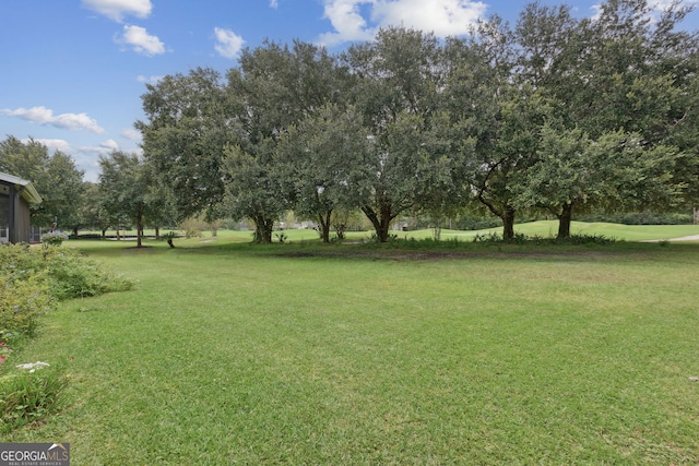 547 E Cardinal Cir, Saint Marys, GA 31558 - view of yard