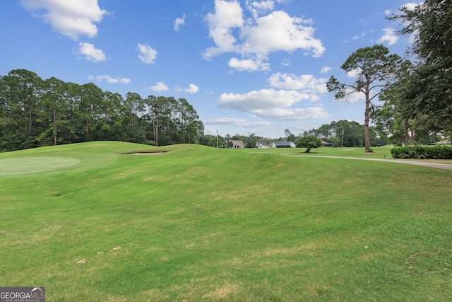 547 E Cardinal Cir, Saint Marys, GA 31558 - view of community with golf course view and a lawn