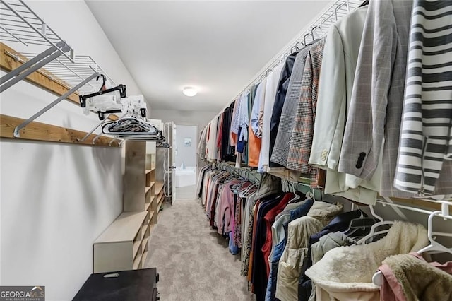 spacious closet with carpet floors