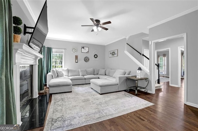 living room with stairs, a high end fireplace, ceiling fan, ornamental molding, and dark wood-type flooring