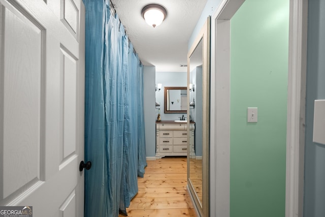 366 Crabapple Rdg, Clarkesville, GA 30523 - corridor with a sink and light wood-style flooring