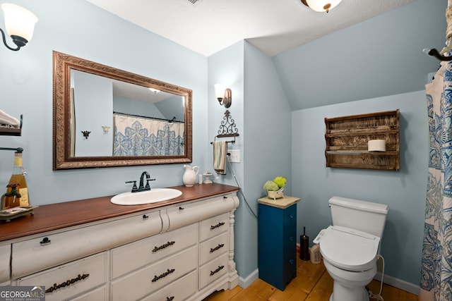 366 Crabapple Rdg, Clarkesville, GA 30523 - full bath with wood finished floors, vanity, baseboards, toilet, and lofted ceiling