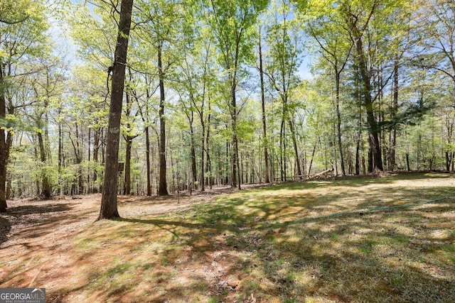 366 Crabapple Rdg, Clarkesville, GA 30523 - view of yard with a wooded view