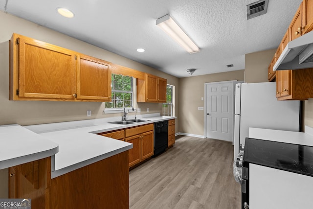 203 Old Pond Dr W, Kingsland, GA 31548 - kitchen with a sink, electric stove, black dishwasher, light countertops, and light wood-style floors