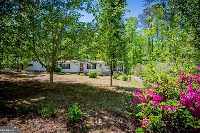 1530 Mcbrayer, Temple, GA 30179 - view of yard