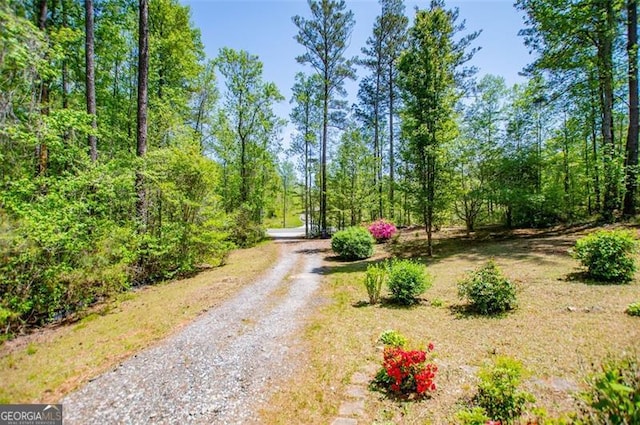 1530 Mcbrayer, Temple, GA 30179 - view of road