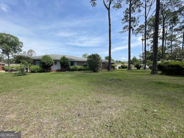 1105 College St, Bainbridge, GA 39819 - view of yard