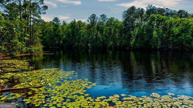 111 Edgewater Dr, Bloomingdale, GA 31302