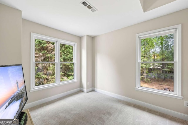 2745 Princeton Trce, Cumming, GA 30041 - carpeted empty room with baseboards, visible vents, and plenty of natural light