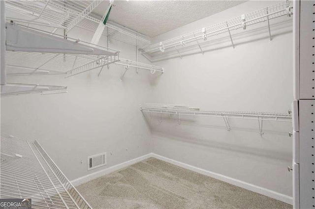 spacious closet featuring carpet floors and visible vents