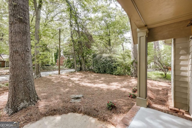 90 Hart Ave, Athens, GA 30606 - view of yard