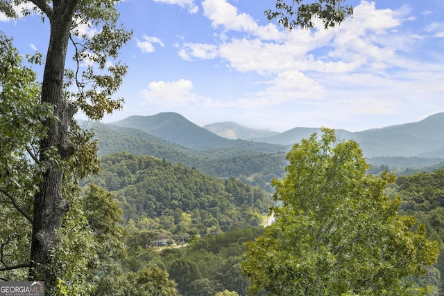 1609 Clark Dr, Hiawassee, GA 30546 - mountain view with a forest view