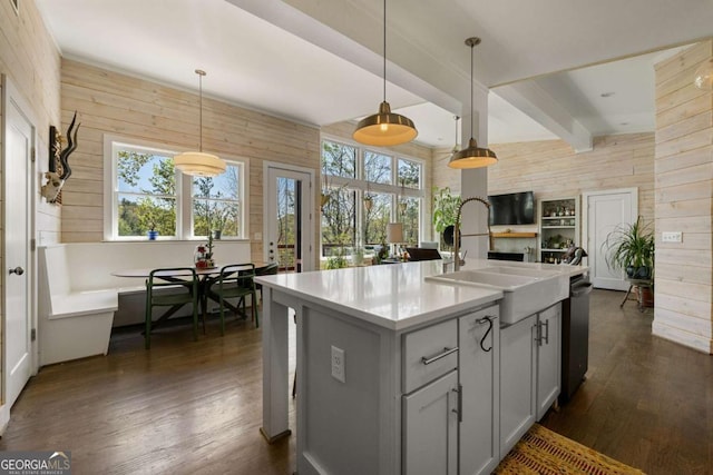 124 Nichols Branch Ln, Clayton, GA 30525 - kitchen featuring wooden walls, dark wood-style flooring, stainless steel dishwasher, beam ceiling, and light countertops