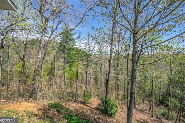 124 Nichols Branch Ln, Clayton, GA 30525 - view of tree filled area