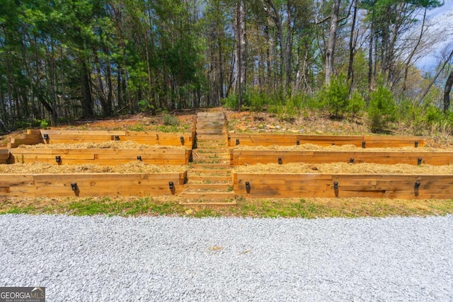 124 Nichols Branch Ln, Clayton, GA 30525 - view of yard