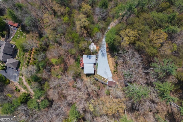 124 Nichols Branch Ln, Clayton, GA 30525 - aerial view of property's location