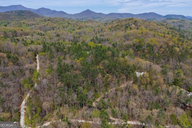 124 Nichols Branch Ln, Clayton, GA 30525 - view of mountain backdrop with a forest