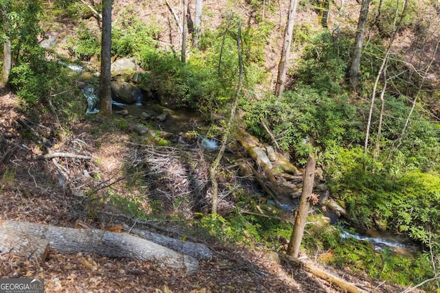 124 Nichols Branch Ln, Clayton, GA 30525 - view of undeveloped land
