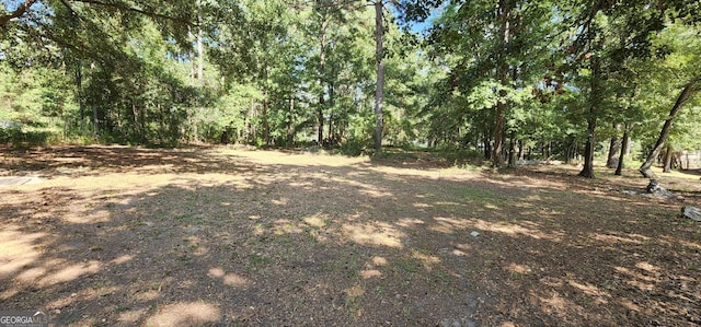 299 E Virginia Ln, Macon, GA 31217 - view of local wilderness