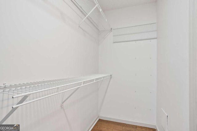 spacious closet featuring wood finished floors