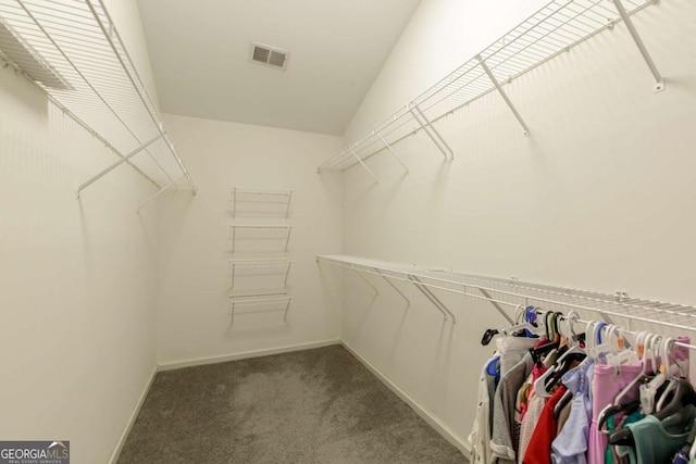 spacious closet with visible vents and carpet