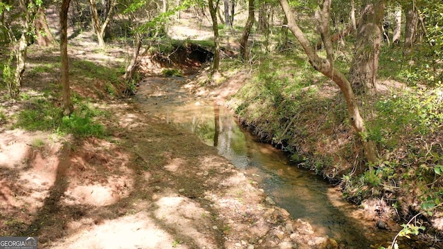 000 Ga Highway 145, Franklin Springs, GA 30662