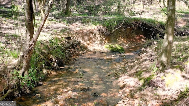 000 Ga Highway 145, Franklin Springs, GA 30662