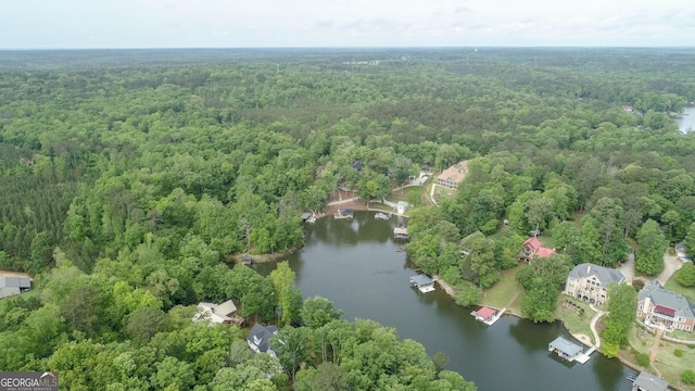 210 Lake Pines Rd, Jackson, GA 30233 - birds eye view of property featuring a wooded view and a water view