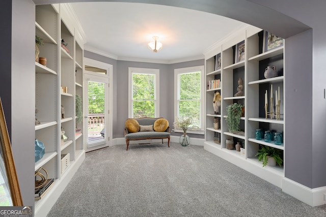 3190 Shumard Way, Marietta, GA 30064 - sitting room featuring arched walkways, crown molding, carpet flooring, and baseboards