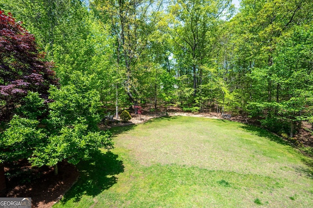 3190 Shumard Way, Marietta, GA 30064 - view of yard