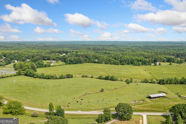 104 Federal Path, Temple, GA 30179 - aerial view of sparsely populated area with a forest