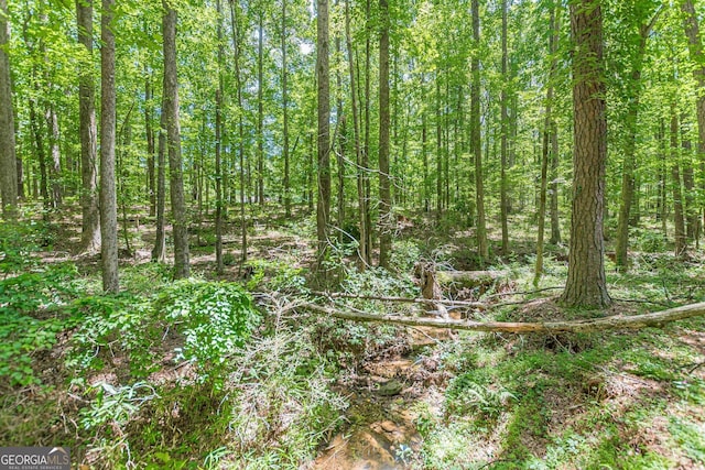 146 Highland Cir, Mcdonough, GA 30253 - view of tree filled area