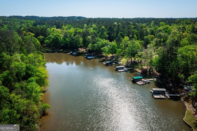 1630 Dogwood Dr, Greensboro, GA 30642 - aerial view featuring a view of trees and a water view