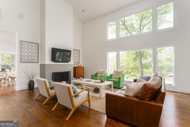1630 Dogwood Dr, Greensboro, GA 30642 - living area with a fireplace, baseboards, high vaulted ceiling, and dark wood-style flooring