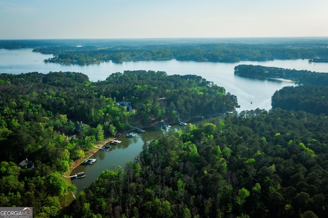 1630 Dogwood Dr, Greensboro, GA 30642 - bird's eye view with a forest view and a water view