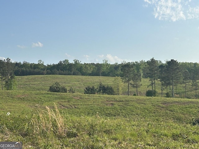 0 Needmore Rd Unit 345.37, Acres Roopville, GA 30170