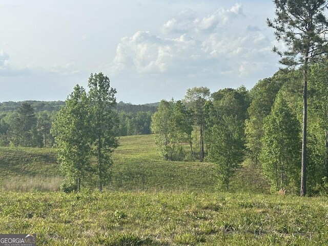 0 Needmore Rd Unit 345.37, Acres Roopville, GA 30170