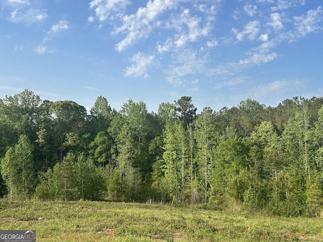 0 Needmore Rd Unit 345.37, Acres Roopville, GA 30170