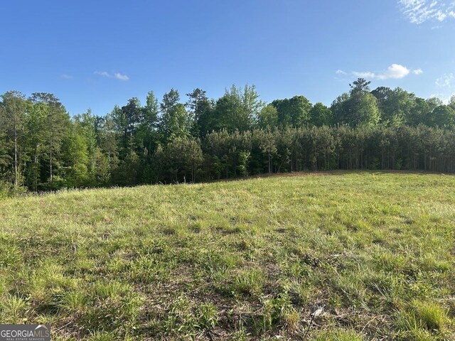 0 Needmore Rd Unit 345.37, Acres Roopville, GA 30170