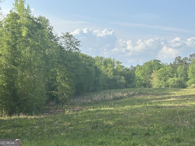 0 Needmore Rd Unit 345.37, Acres Roopville, GA 30170