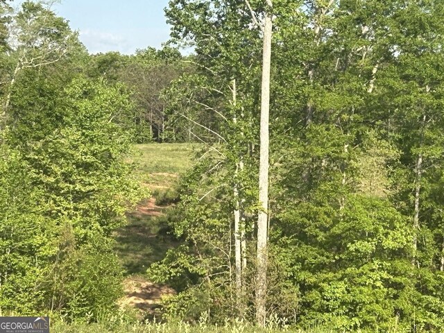 0 Needmore Rd Unit 345.37, Acres Roopville, GA 30170