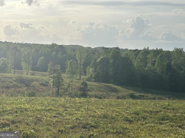 0 Needmore Rd Unit 345.37, Acres Roopville, GA 30170