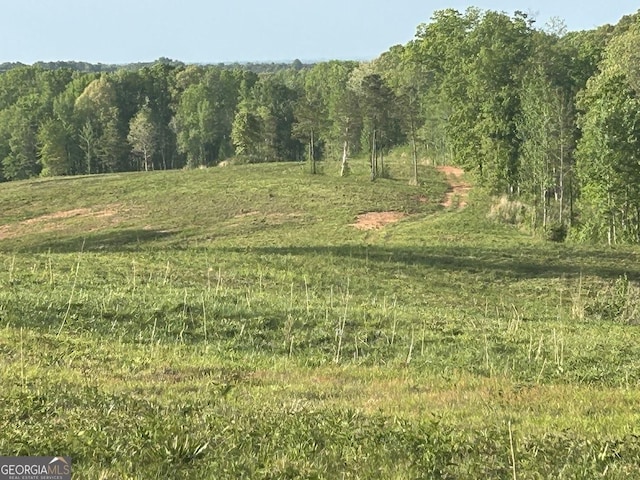 0 Needmore Rd Unit 345.37, Acres Roopville, GA 30170